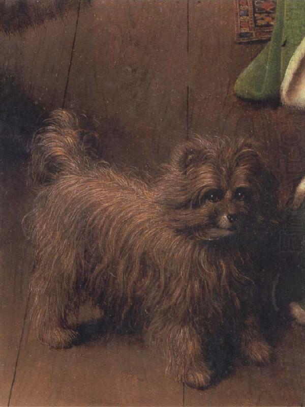The Dog, Jan Van Eyck
